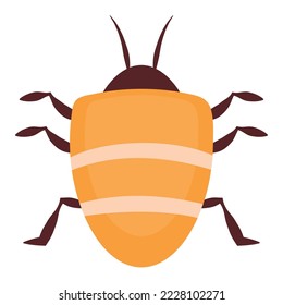 colored scarab illustration over white
