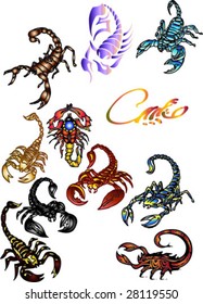 COLORED scorpions