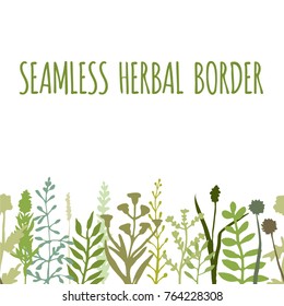a colored seamless border or frame;  handdrawn repeated pattern; a vector herbal or floral design element great as a background