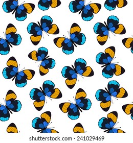 colored seamless pattern butterfly