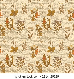 Patrón ininterrumpido de color con hierbas medicinales dibujadas a mano y texto escrito a mano Lorem Ipsum. Antecedentes vectores sobre el tema de la medicina a base de plantas. Papel de pared retro, papel de envoltura o tela