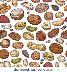 Colored seamless pattern with nuts. Sketch background with peanuts, walnuts, coconut, macadamia, pistachio, hazelnuts.