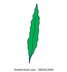 Colored seaweed llustration on white background. Doodle sketch cartoon underwater worlds isolated object for panorama, print, shirt, kid, baby, swimming pool, game, app and stickers.