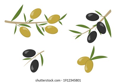 Colorido conjunto de aceitunas negras y verdes, aceitunas ramificadas. Ilustración vectorial.