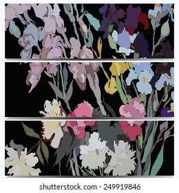 Colored set  cards of floral motif, colored branch, irises on a black  background. Hand drawn.