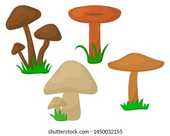 Colored set of cartoon different mushrooms in grass. Vector illustration