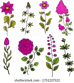 colored set collection of plants with flowers and leaves on white background vector illustration