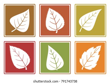 Colored set of different leaf icons, white silhouettes leaves. Vector illustration