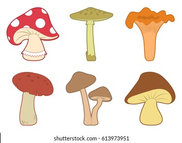 Colored set of different mushrooms isolated on white background. Vector illustration