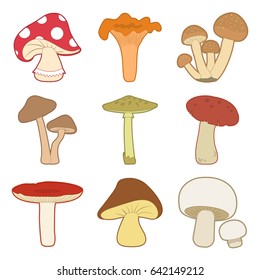 Colored set of different mushrooms . Vector illustration