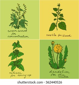 Colored set of four random chosen herbs isolated on different backgrounds and augmented with tips for using each of herbs in life. Medical and herbal industry. Design element.