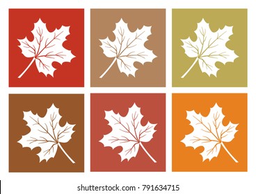 Colored set of maple leaf icons, white silhouettes leaves. Vector illustration