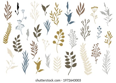 Colored set of the nature elements. Collection of wild grass and leaves silhouettes. Vector illustration