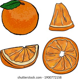 Colorido conjunto de naranjas. Citrus. Todo, rebanada, círculo. Comida, menú, restaurante.