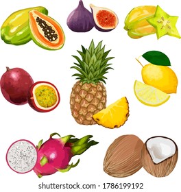Colored set of tropical fruits.Ripe tropical fruits on a white background in a color set.