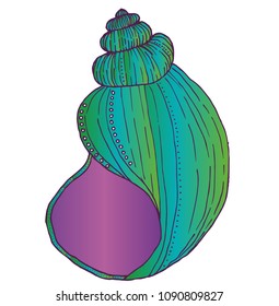 Colored shell vector silhouette. Vector sea pattern in blue and violet colors.
