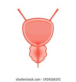 Icono de próstata enfermo de color aislado en fondo blanco. Órgano de anatomía masculina. Diseño plano. Ilustración vectorial.