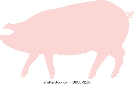 colored silhouette of pig in pink