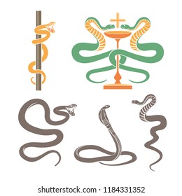 Colored silhouette of a serpent on a white background. Vector snakes.