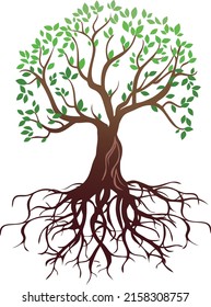 Colored Silhouette Tree Roots Vector Illustration Stock Vector (Royalty ...