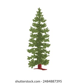 Colored simple illustration of coniferous tree