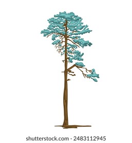 Colored simple illustration of pine tree mast drawing