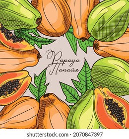 
Colored sketch frame made of papaya. Hand-drawing frame made of papaya, fresh fruits and leaves. Color illustration.