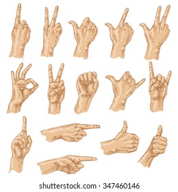 Colored sketch of hand gestures. Set of the different positions of the hands: count gesture, victory sign, Shaka, okay,  pointing , thumbs up,  closed fist.