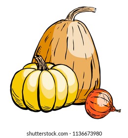 Colored sketch of pumpkin isolated on white background. Hand drawn vector illustration of a sketch style. Retro style.