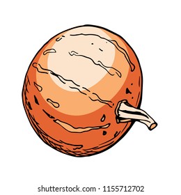 Colored sketch of pumpkin isolated on white background. Hand drawn vector illustration of a sketch style. Retro style.
