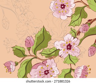 Colored sketch of sakura blossom branch on paper color background.