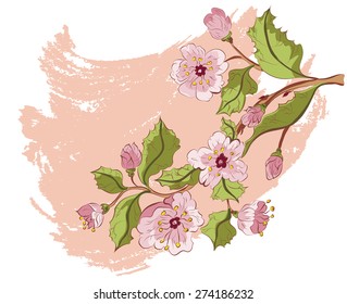 Colored sketch of sakura blossom branch on paper color background.