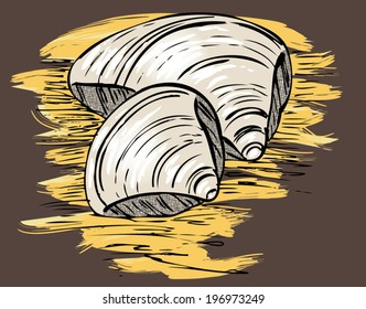 colored sketch of two seashells on the sand in vintage style