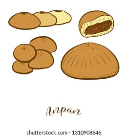 Colored sketches of Anpan bread. Vector drawing of Sweet bun food, usually known in Japan. Colored Bread illustration series.