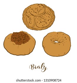 Colored sketches of Bialy bread. Vector drawing of Yeast bread food, usually known in Central Europe. Colored Bread illustration series.