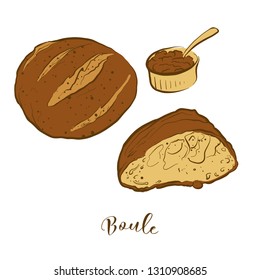 Colored sketches of Boule bread. Vector drawing of Yeast bread food, usually known in France. Colored Bread illustration series.