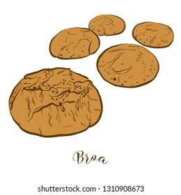Colored sketches of Broa bread. Vector drawing of Cornbread food, usually known in Portugal. Colored Bread illustration series.