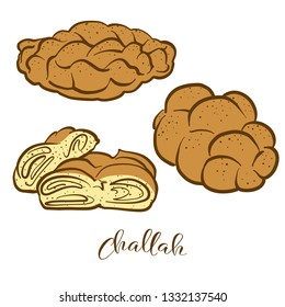 Colored sketches of Challah bread. Vector drawing of Leavened food, usually known in Poland and Israel. Colored Bread illustration series.