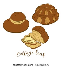 Colored sketches of Cottage loaf bread. Vector drawing of Yeast bread food, usually known in United Kingdom. Colored Bread illustration series.