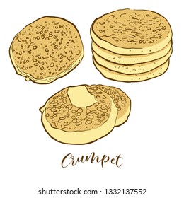 Colored sketches of Crumpet bread. Vector drawing of Flatbread food, usually known in United Kingdom. Colored Bread illustration series.