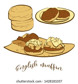 Colored Sketches Of English Muffin Bread. Vector Drawing Of Yeast Bread Food, Usually Known In United Kingdom. Colored Bread Illustration Series.