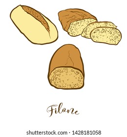 Colored sketches of Filone bread. Vector drawing of Leavened food, usually known in Italy. Colored Bread illustration series.