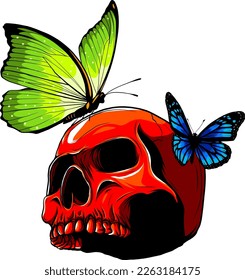 colored Skull with butterflys. Vector illustration design