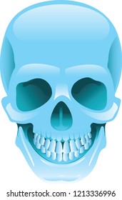 Colored Skull illustration