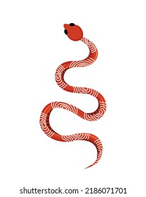 Colored snake. Tropical exotic rattlesnake. Dangerous poisonous snake. Hand drawn vector illustration.