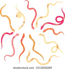 Colored snakes with a pattern on the back and head. Everything is in warm colors - just for girls. Vector illustration