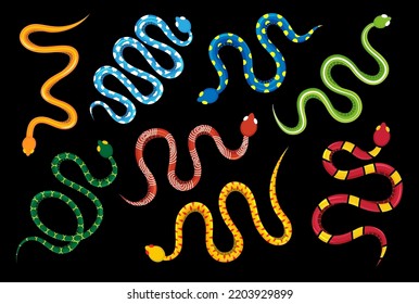 Colored snakes set. Dangerous exotic snakes. Tropical toxic reptile illustration. Wild poisonous rattlesnakes isolated on black background.