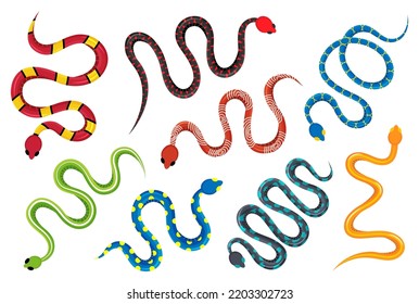 Farbige Schlangen-Set. Tropisches toxisches Reptil. Gefährliche exotische Schlangen und Kobra-Illustrationen. Wilde giftige Schlangen einzeln auf weißem Hintergrund.