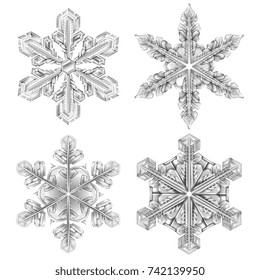 Colored snowflake black and white icon set four realistic isolated ant looks like glass vector illustration