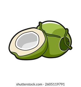 colored split green coconut vector cartoon
